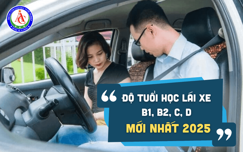 do-tuoi-hoc-lai-xe-b1-b2-c-d-moi-nhat-2025